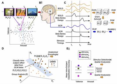 Brain States That Encode Perceived Emotion Are Reproducible but Their Classification Accuracy Is Stimulus-Dependent